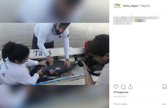 Son Dakika: Dünya bu haber ile çalkalanıyor: Ormanda bulundu...Herkes merak içinde!