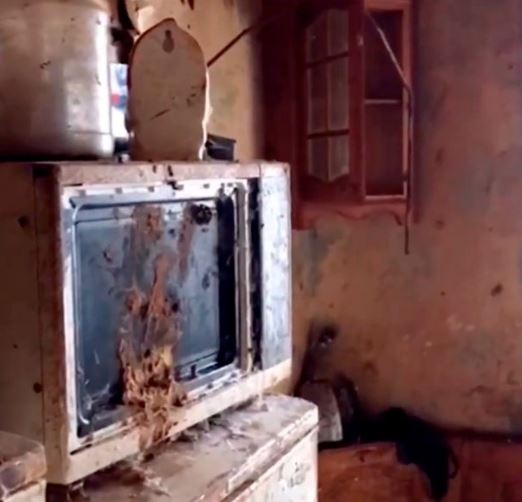 Son Dakika: 5 yaşındaki kız çocuğuna anne zulmü! Yaptıkları kan dondurdu