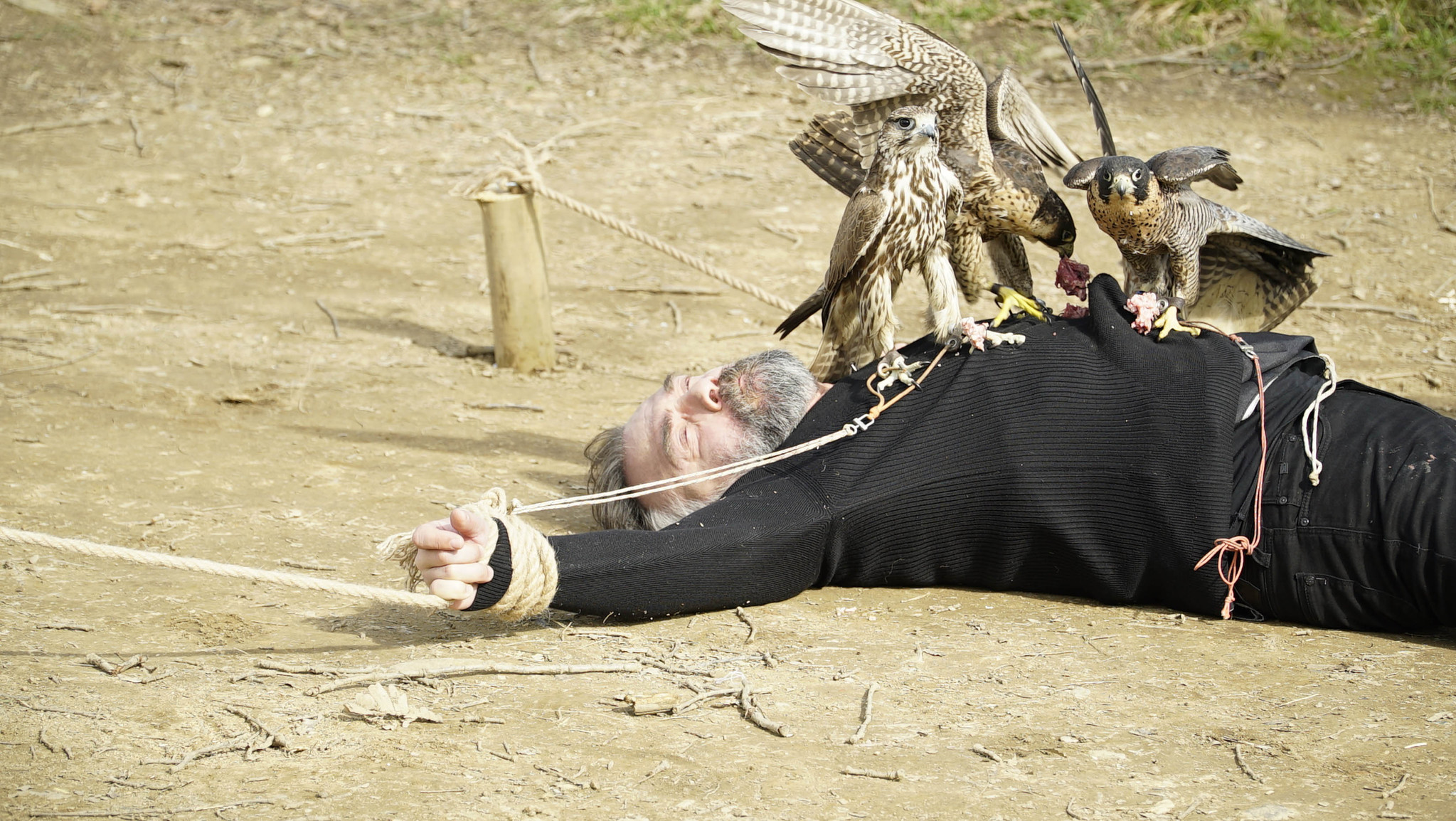 Eşkıya Dünyaya Hükümdar Olmaz 129. bölüm izle! EDHO son bölüm tamamı tek parça halinde izle