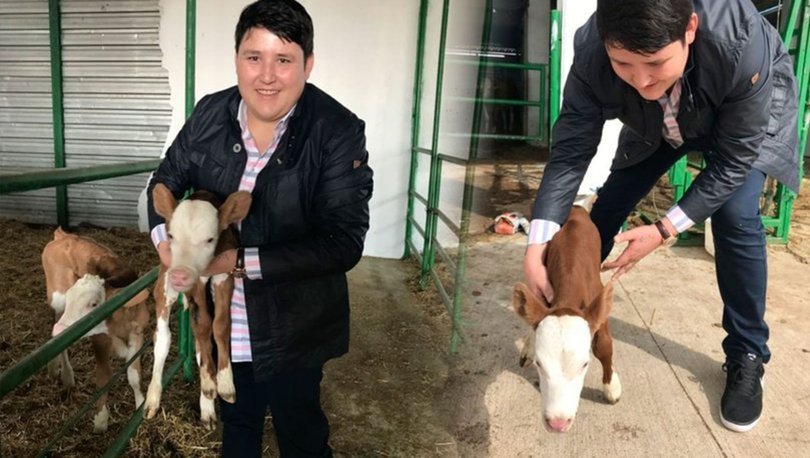 Son Dakika Haberi: Çiftlik Bank’ın ’Tosuncuğu’ Mehmet Aydın hakkında flaş gelişme!