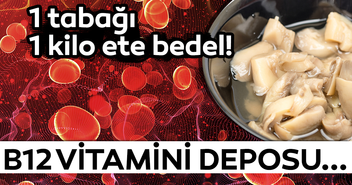 B12 Vitamini Eksikligi Neden Olur Iste B12 Vitamini Bulunduran Besinler Ve B12 Vitamininin Faydalari Galeri Saglik