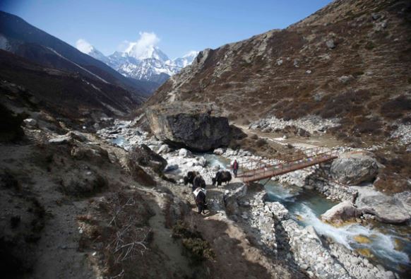 Korkunç görüntü ortaya çıktı! 300’ü birden öldü