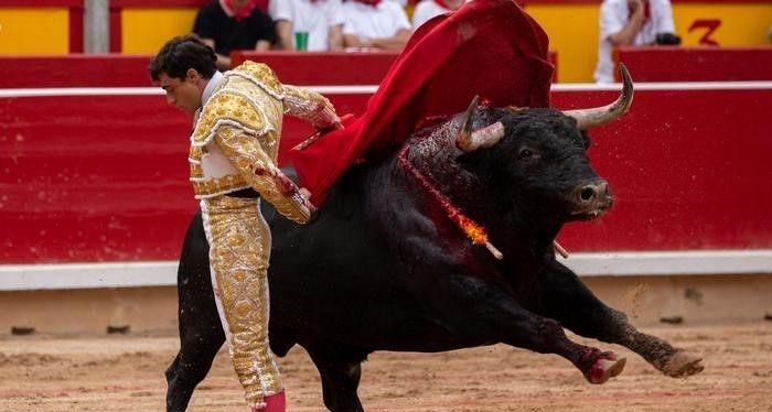 İspanya’da yapılan boğa güreşi festivalinin adı nedir? KPSS 2019 lisans sorusu: İspanya’da yapılan boğa güreşi festivalinin adının cevabı!