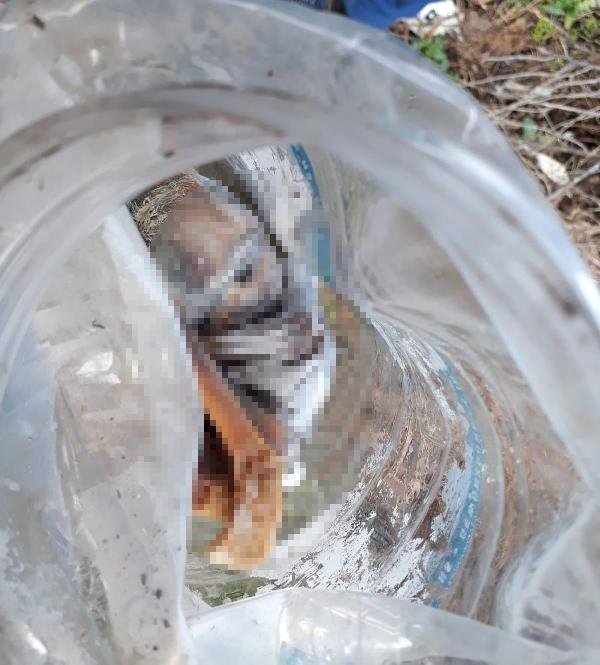 Son Dakika: Tüm dünya bu haberle sarsıldı! 25 bebek cesedini ortaya çıktı