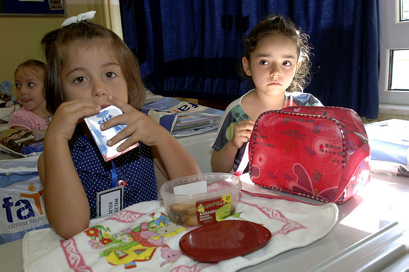 Okula başlama yaşı ile ilgili Ziya Selçuk’tan hatırlatma geldi!