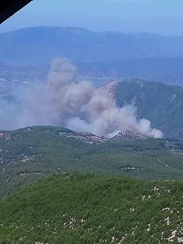 Muğla’da orman yangını! Bölgeye takviye ekipler sevk edildi