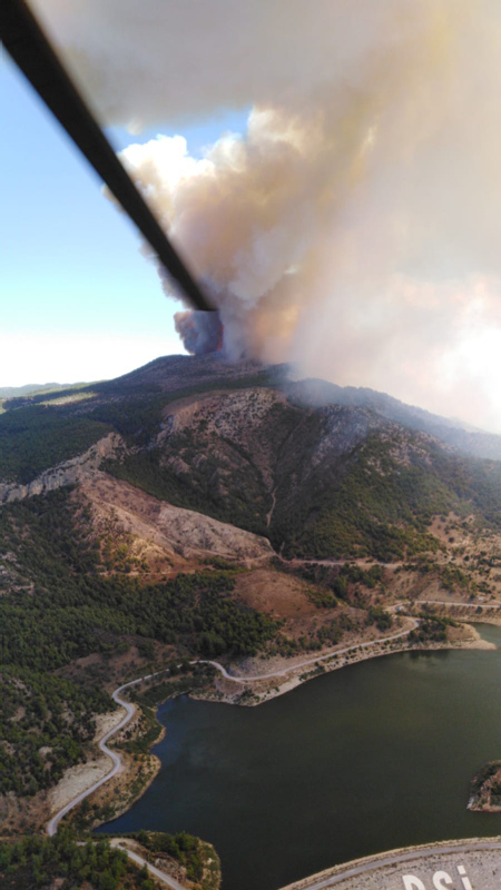 Muğla’da orman yangını! Bölgeye takviye ekipler sevk edildi