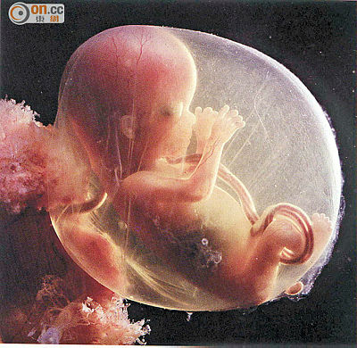 Son dakika! Öyle bir şey saklamış ki.. Ölen doktorun evinde 2 binden fazla bulundu!