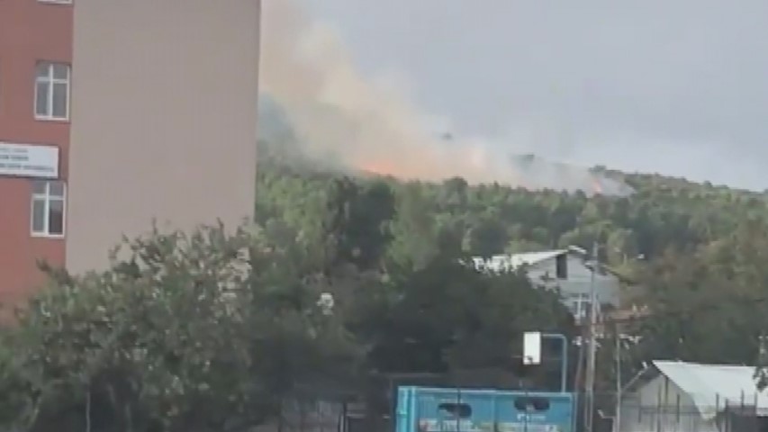 Son Dakika: Pendik’te ormanda yangın çıkaran kundakçının kim olduğu ortaya çıktı