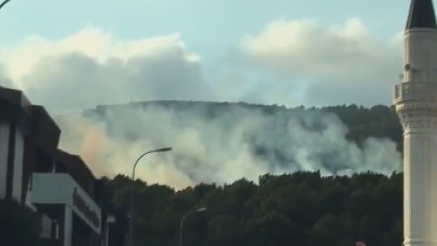 Son Dakika: Pendik’te ormanda yangın çıkaran kundakçının kim olduğu ortaya çıktı