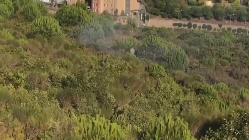 Son Dakika: Pendik’te ormanda yangın çıkaran kundakçının kim olduğu ortaya çıktı