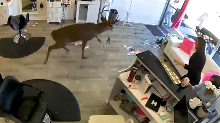 Son dakika haberi: Kuaför salonunda şoke eden anlar! Bir anda dükkâna daldı ve…