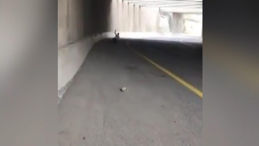 Son Dakika: İsrail’den skandal görüntüler! İsrail askerleri Filistinli genci zevk için vurdu