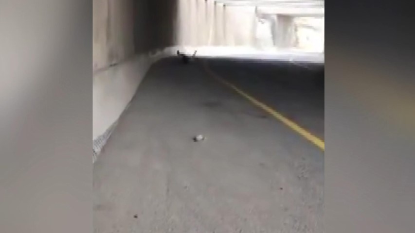 Son Dakika: İsrail’den skandal görüntüler! İsrail askerleri Filistinli genci zevk için vurdu