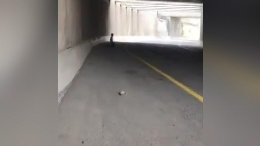 Son Dakika: İsrail’den skandal görüntüler! İsrail askerleri Filistinli genci zevk için vurdu