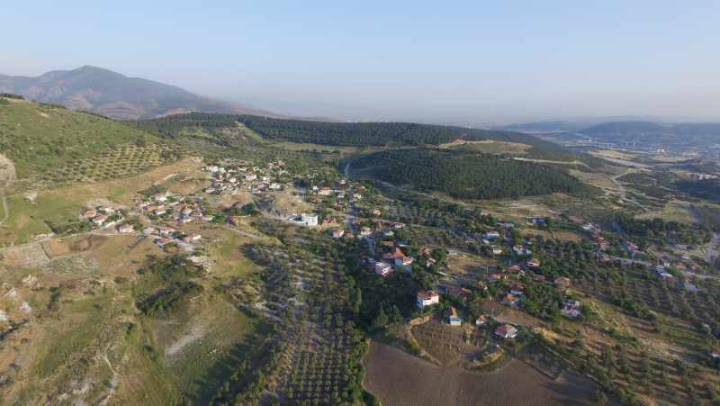 Milli Ağaçlandırma Günü resmen açıklandı! Milli Ağaçlandırma Bayramı nedir? 11 Kasım tarihinde...