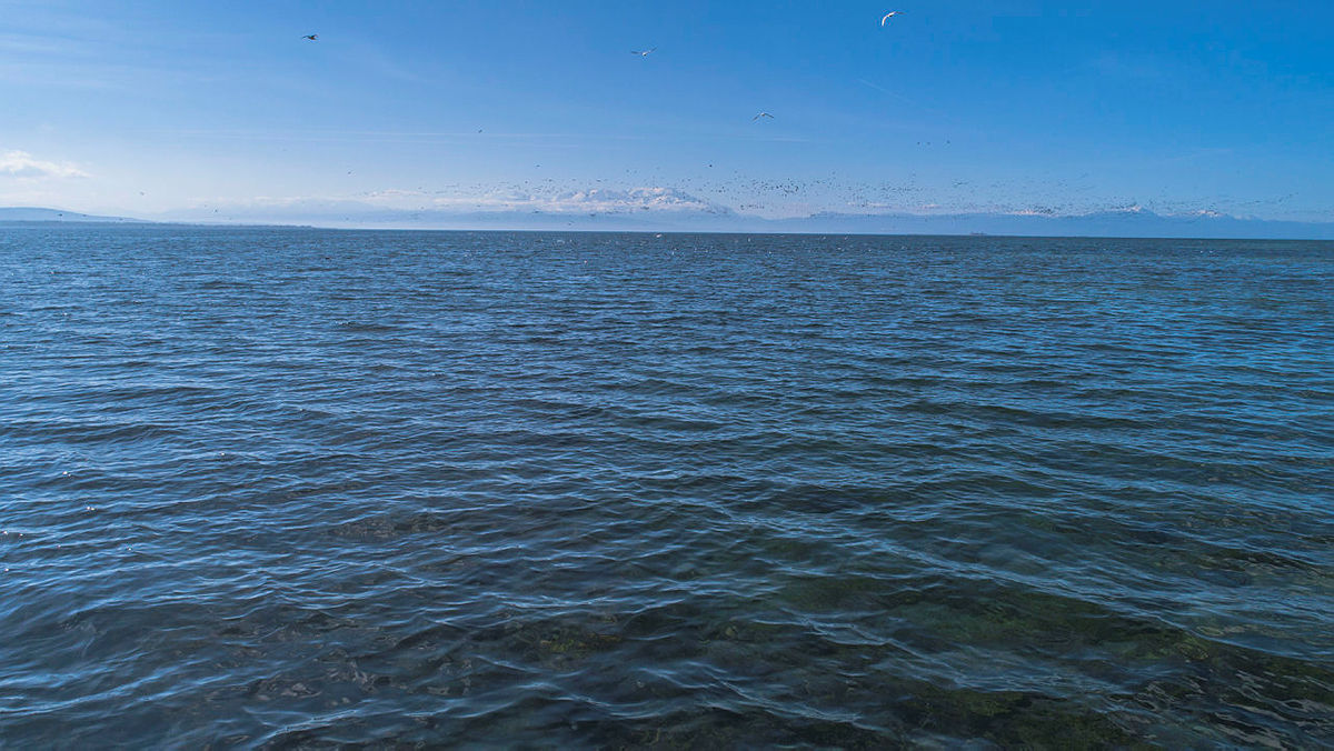 Büyük tehlike! Türkiye’nin en büyük tatlı su gölü Beyşehir Gölü kuruyor