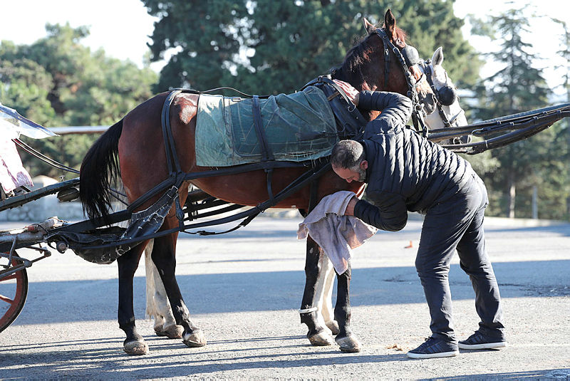 Ruam hastalığı nedir, belirtileri nelerdir? Ruam hastalığından korunmak için ne yapmak gerekiyor?
