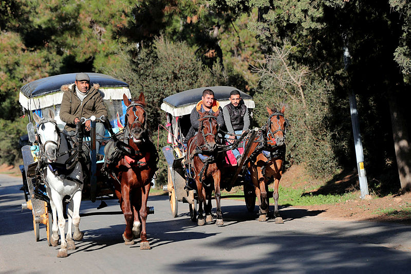 Ruam hastalığı nedir, belirtileri nelerdir? Ruam hastalığından korunmak için ne yapmak gerekiyor?