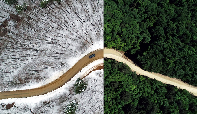 Son dakika... Yılın fotoğrafının seçilmesine çok az kaldı! İşte AA yılın fotoğrafları