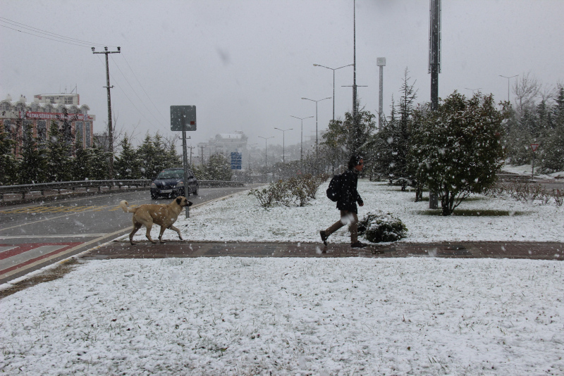 İstanbul’un yanı başındaki Kocaeli beyaza büründü