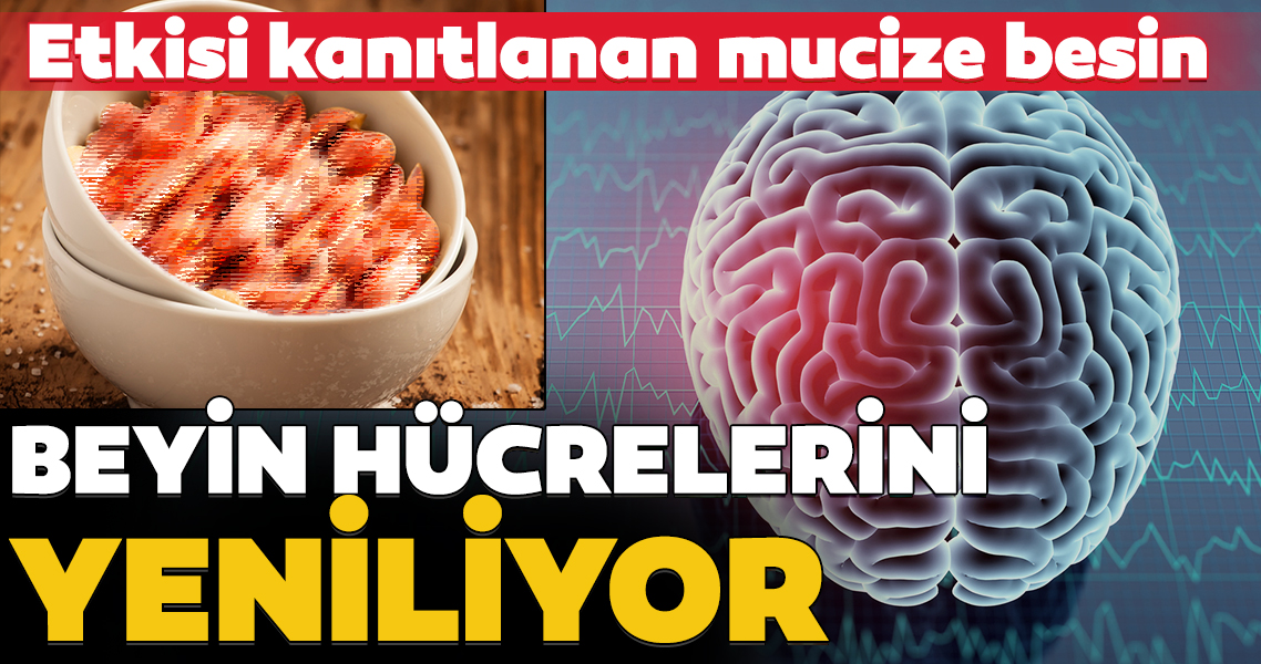 Beyin Hucrelerini Yenileyen Super Besin Galeri Saglik