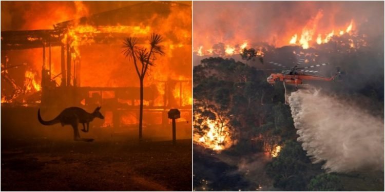 Son dakika... Avustralya yangın son durum! Korkutan açıklama... Avustralya’daki yangın aylardır söndürülemiyor