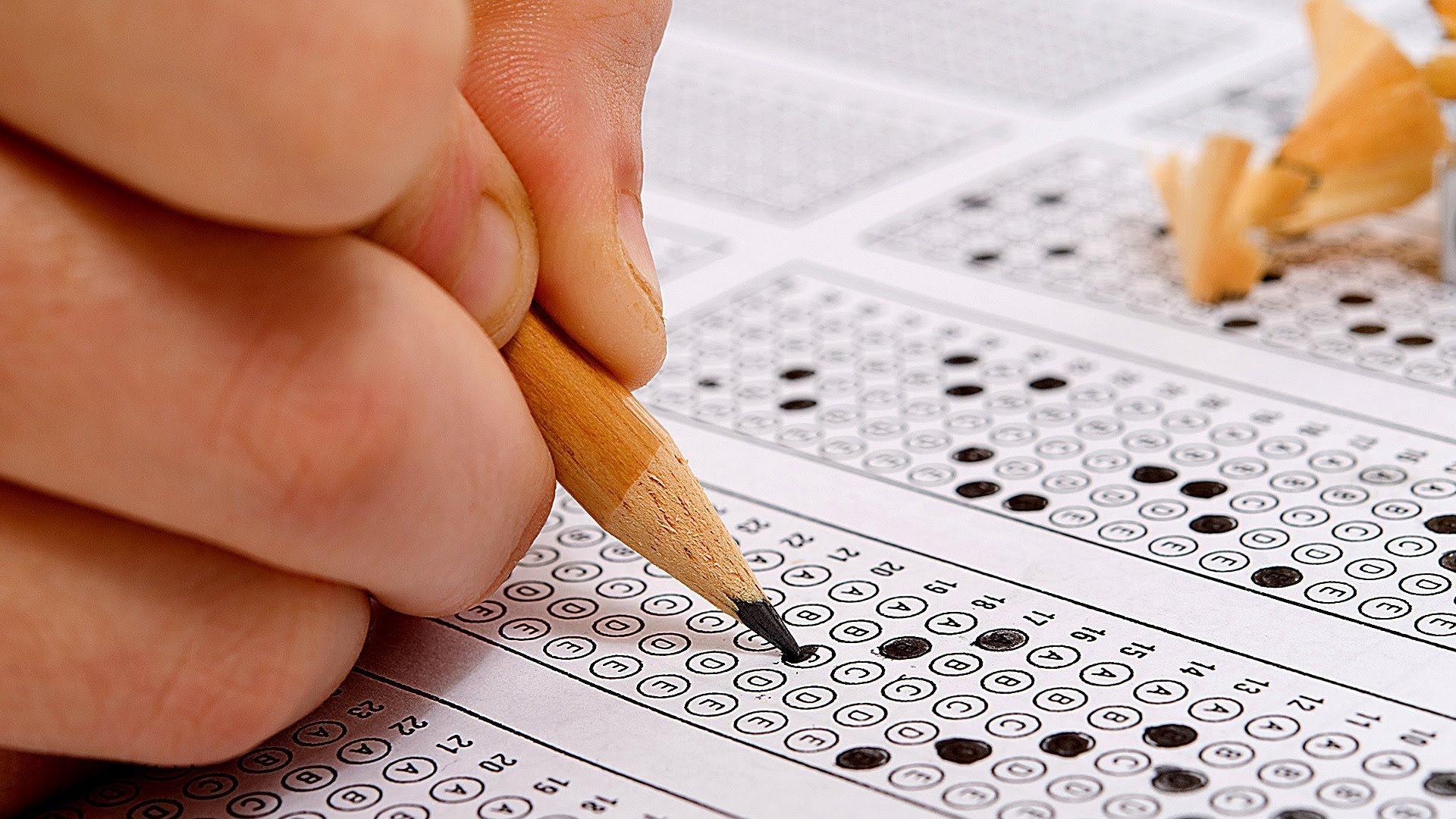 LGS Ocak ayı örnek soruları 2020 yayında! LGS sayısal ve sözel örnek soru kitapçığı nasıl ve nereden görüntülenir?