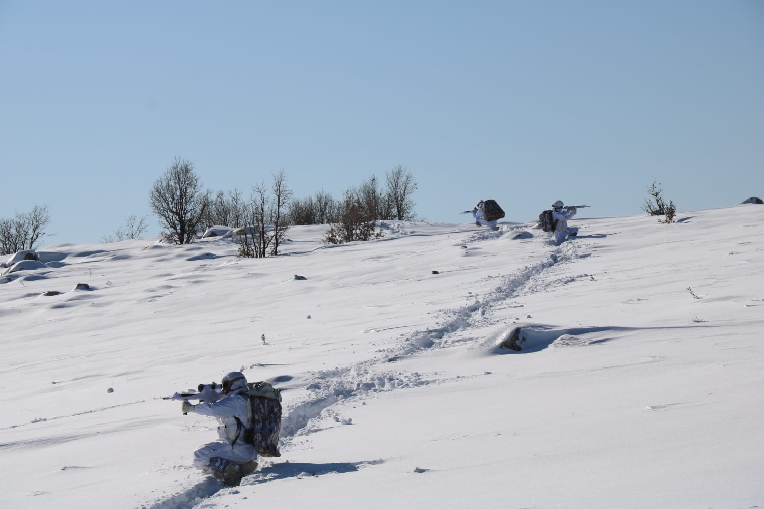 Bakanlık operasyonu resmen duyurdu Şırnak’ta son dakika! Bine yakın personel ile başladı