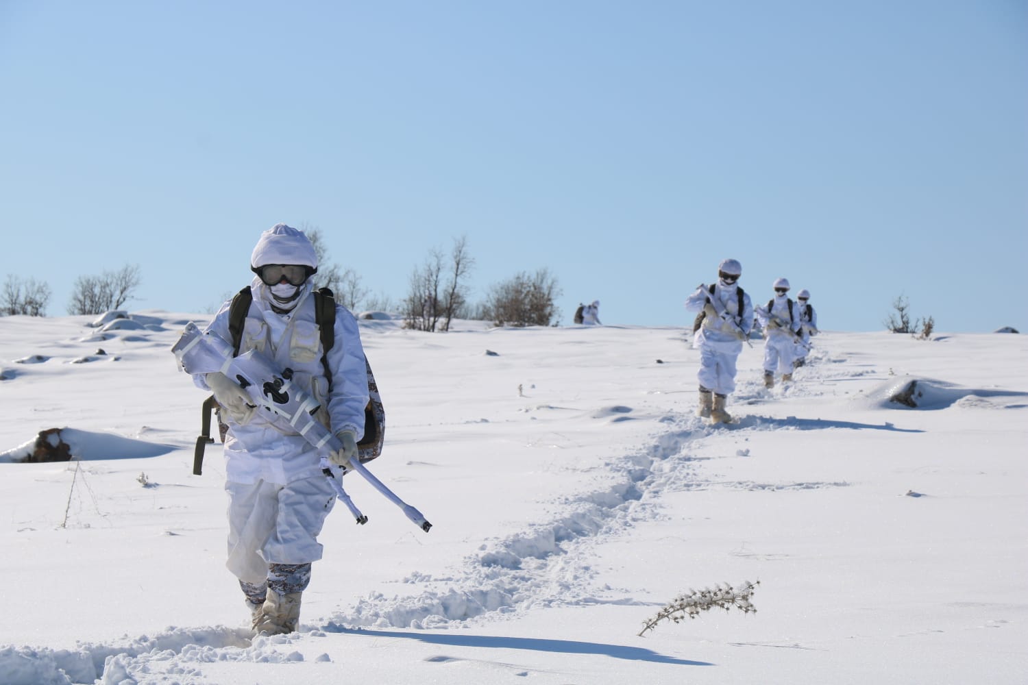 Bakanlık operasyonu resmen duyurdu Şırnak’ta son dakika! Bine yakın personel ile başladı