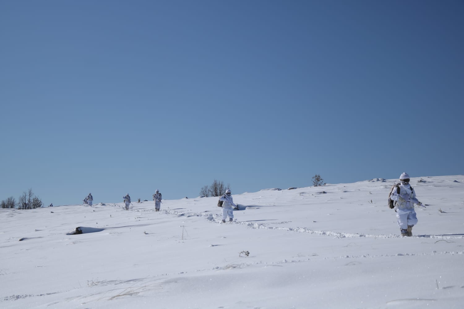 Bakanlık operasyonu resmen duyurdu Şırnak’ta son dakika! Bine yakın personel ile başladı