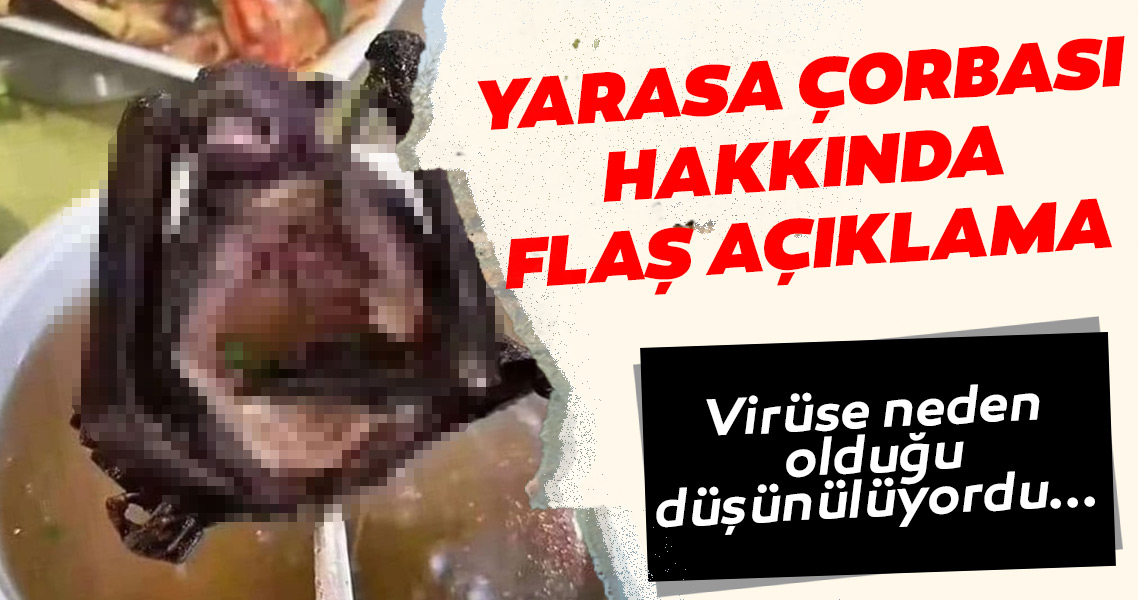 Son dakika haberi: Koronavirüse neden olduğu düşünülen yarasa çorbası ile ilgili flaş açıklama! Corona virüsün nedeni...