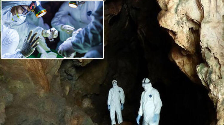 Son dakika haberleri: Koronavirüs salgınında dünya gündemine oturan flaş açıklama! Virüs tespit edilen sıfır numaralı hasta...