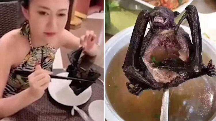 Son dakika haberleri: Koronavirüs salgınında dünya gündemine oturan flaş açıklama! Virüs tespit edilen sıfır numaralı hasta...