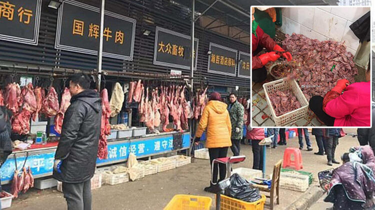 Son dakika haberleri: Koronavirüs salgınında dünya gündemine oturan flaş açıklama! Virüs tespit edilen sıfır numaralı hasta...