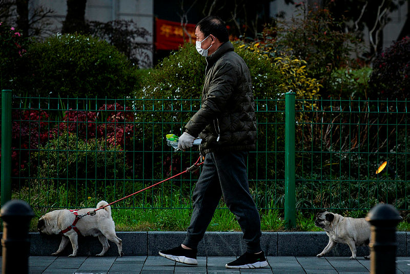 Çin’de yaşayan Türk gazeteciden koronavirüsü hakkında son dakika açıklamaları geldi! Corona virüs son durum ne?