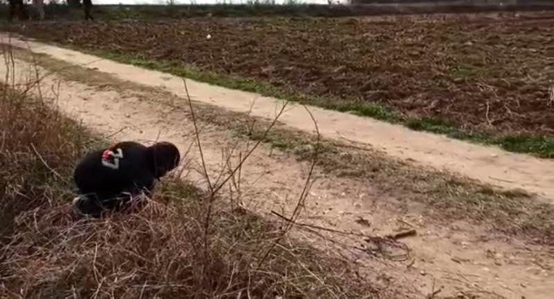 Son Dakika Haberi: Avrupa’ya gitmek isteyen minik mültecinin görüntüleri yürekleri dağladı