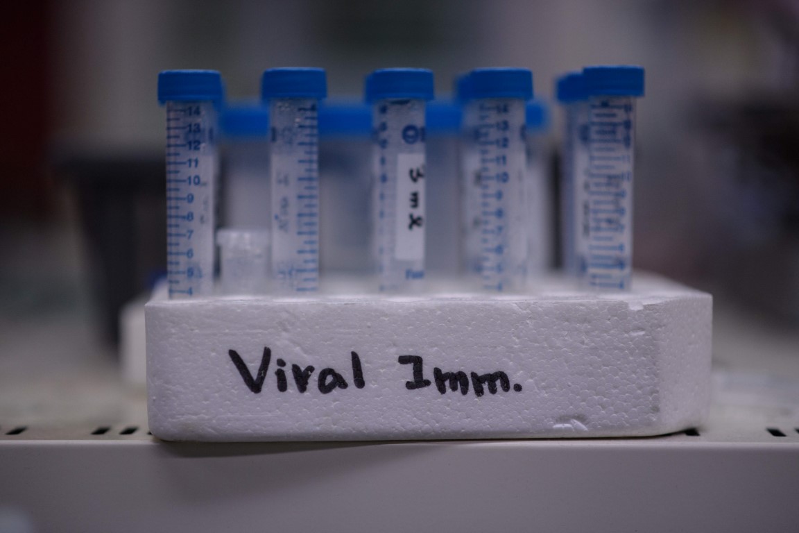 Corona virüs aşısı bulundu mu, son durum ne? Coronavirüsü Covid-19 ile ilgili son dakika gelişmesi...