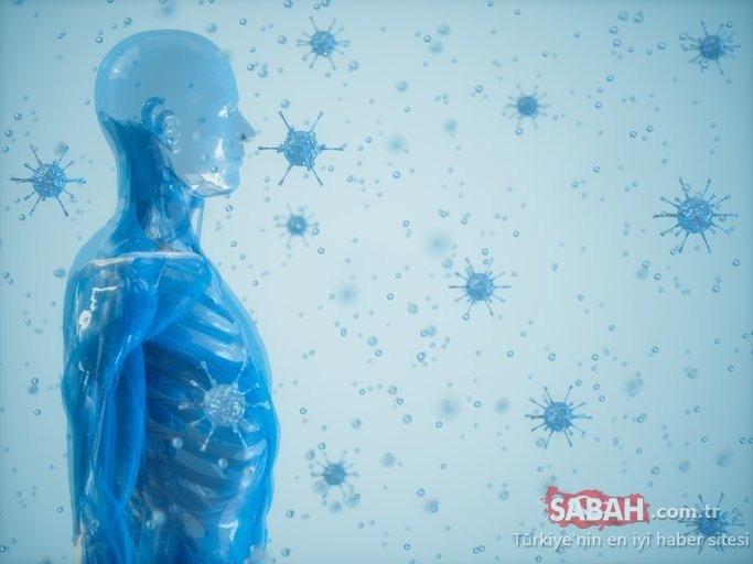 Son dakika haberi: Corona virüsü hakkında o rapor ortaya çıktı! Coronavirüs raporunda korkutan 3 saat detayı