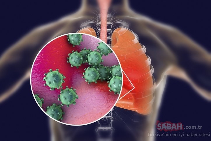 Uzmanlardan Corona virüs belirtileri ile ilgili şoke eden son dakika haberi: Corona virüsü belirtileri vakaların yüzde 40’ı…