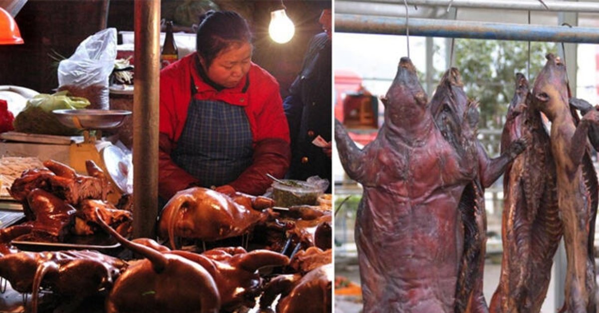 Son dakika haberleri: İşte dünyaya corona virüsü bulaştıran o kadın! Çinli kadının kimliği ortaya çıktı