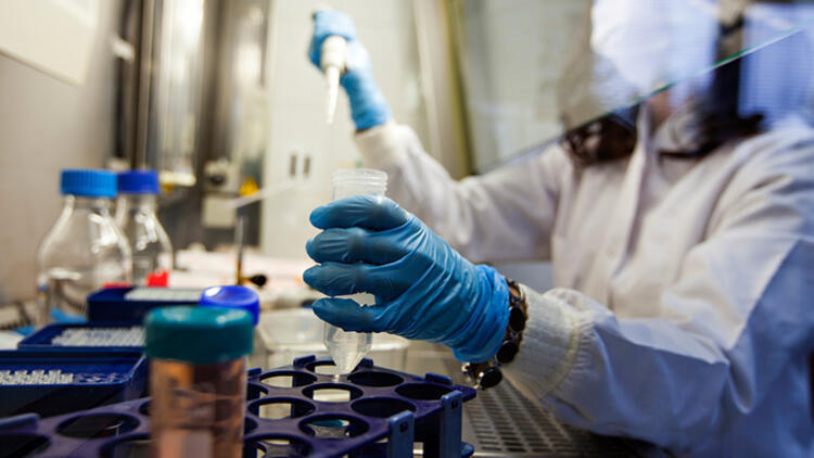 SON DAKİKA: Bilim insanlarından corona virüsüyle ilgili flaş açıklama geldi! Koronavirüs işte bu hücreleri hedef alıp saldırıyor…