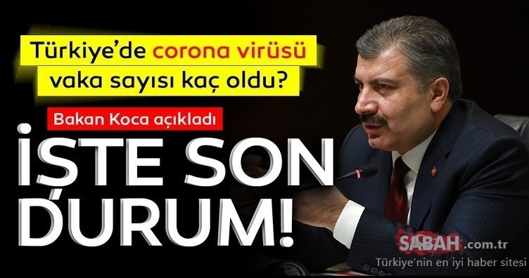 Türkiye’den son dakika corona virüsü vaka ve ölü sayısı son durum tablosu - risk dağılımı haritası: Bugün corona virüsü vaka sayısı kaç oldu?