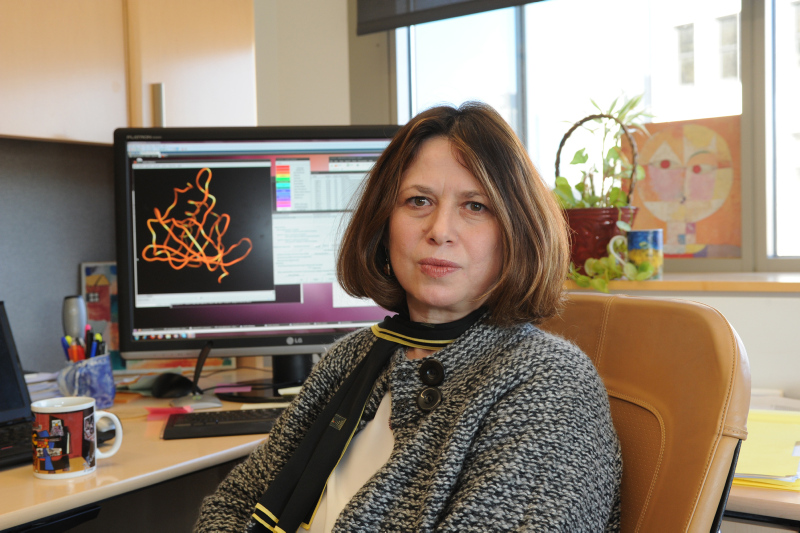 Son dakika: Dünyanın en prestijli bilim akademisine ilk kez bir Türk bilim kadını üye seçildi