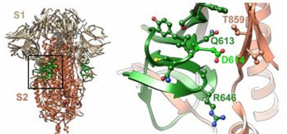 Bilim insanlarından çarpıcı araştırma: Coronavirüs o ülkelerde neden daha ölümcül?