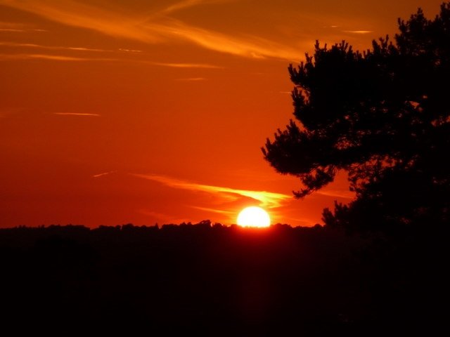 Yaz sezonu başlıyor! Google’dan 2020 Yaz Gün Dönümü için Doodle! 21 Haziran Yaz Gün Dönümü ne demek, bu tarihte ne olur ve özellikleri neler?