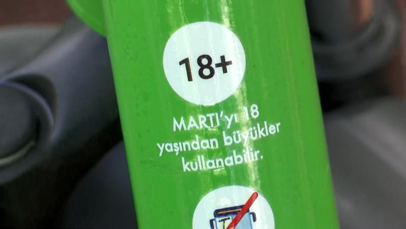 Martı tehlikesi büyüyor! Parayı veren kural tanımıyor! Yayaya da, araçlara da kabus oldular...