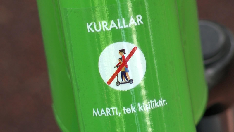 Martı tehlikesi büyüyor! Parayı veren kural tanımıyor! Yayaya da, araçlara da kabus oldular...