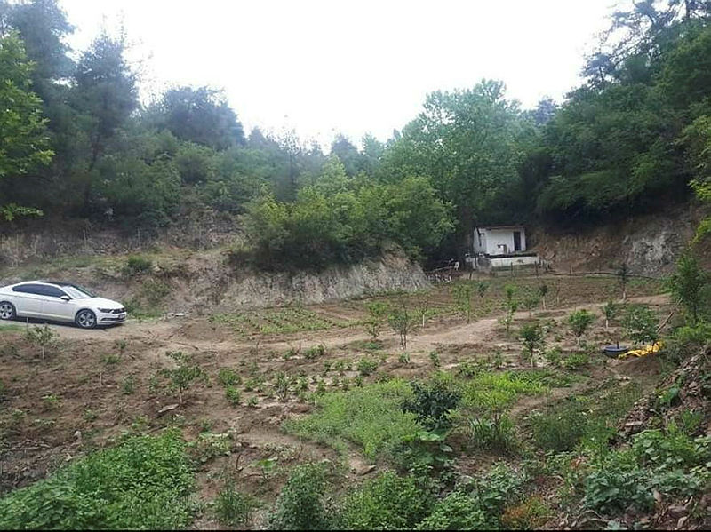 Son dakika: Bursa’daki sel felaketinin ardından uzman isimden flaş uyarı: Bu yıl çok göreceğiz...