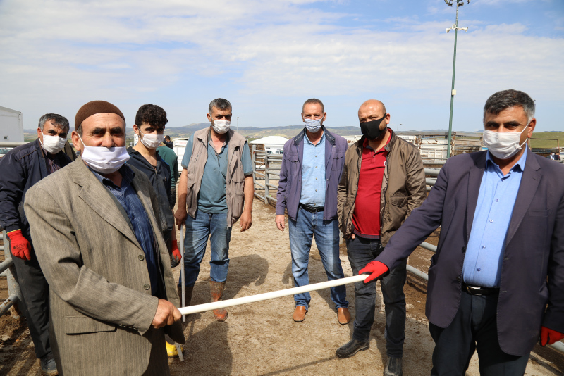 Son dakika: Bilim Kurulu Üyesi Levent Yamanel’den hisseli kurban uyarısı! Büyükbaş kurban alacaklar dikkat...